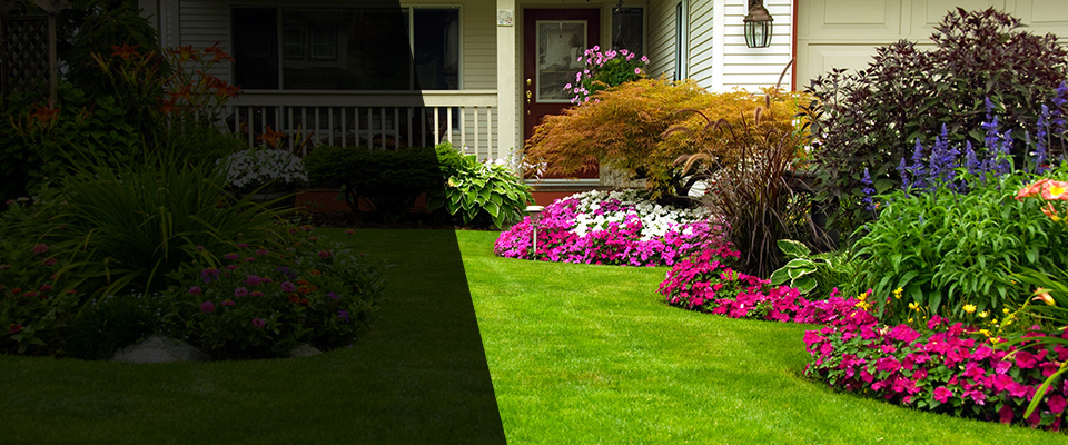 Belleville Landscapers